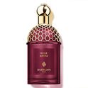 Absolus Allegoria Rose Amira Absolus Allegoria Rose Amira